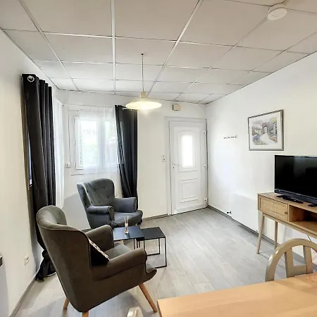 F2 Equipe, Proche Centre-ville Et Thermes, Avec Wifi, Animaux Acceptes - Fr-1-451-173